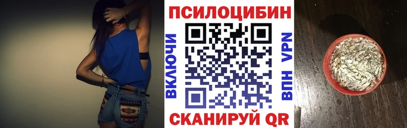 Купить где  Лихославль  Галлюциногенные грибы Psilocybine cubensis 